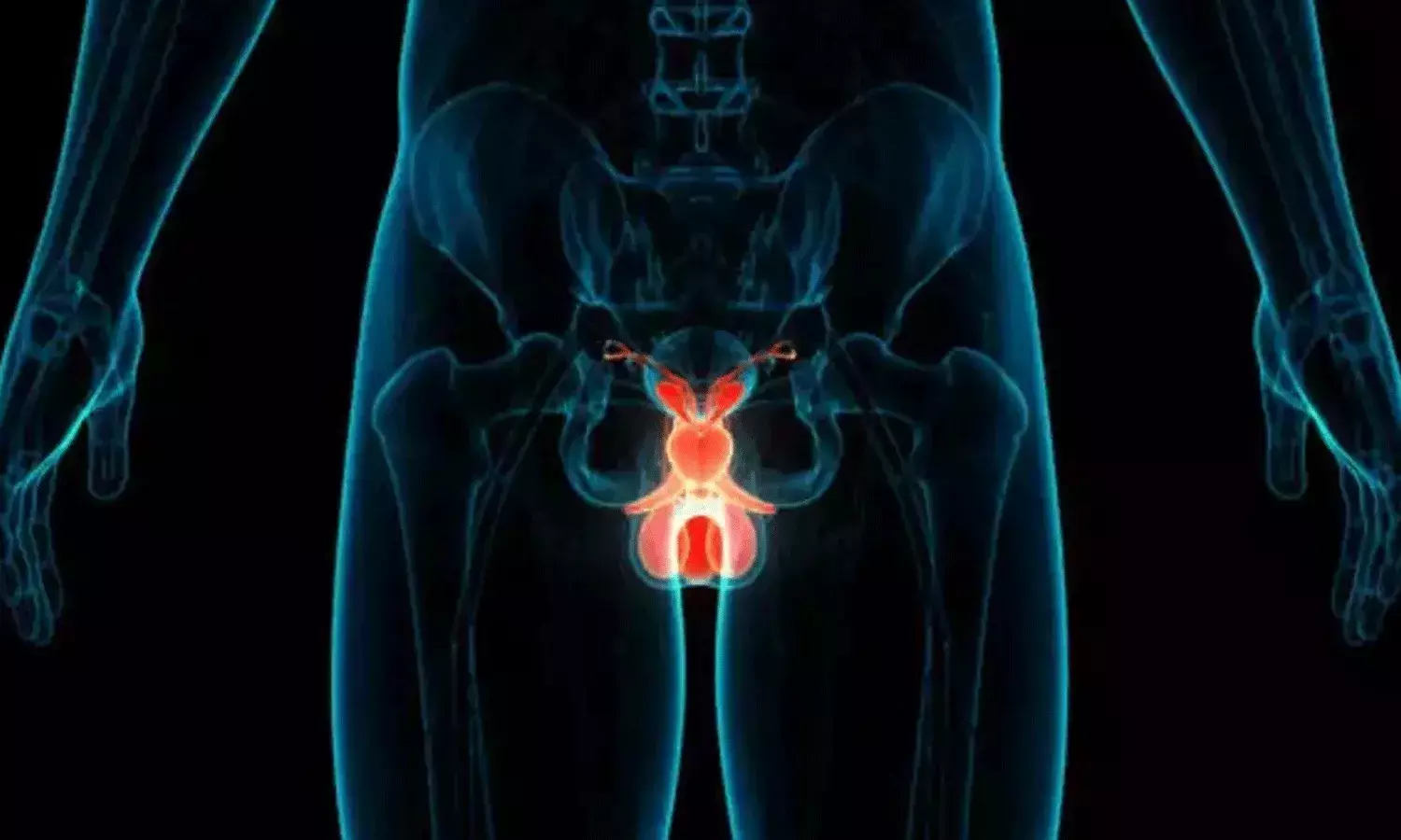 ప్రోస్టేట్ గ్రంధి.. అనారోగ్యాన్ని సూచించే లక్షణాలు ప్రోస్టేట్ గ్రంధి.. అనారోగ్యాన్ని సూచించే లక్షణాలు