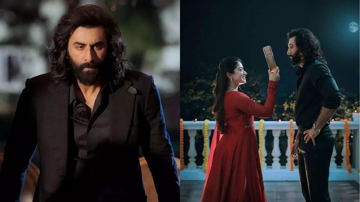Animal Box Office Report: ఫస్ట్ డేనే రూ.50కోట్లు వసూలు Animal Box Office Report: ఫస్ట్ డేనే రూ.50కోట్లు వసూలు