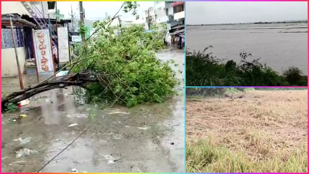 Michaung: తుఫాను ధాటికి జనజీవనం అస్తవ్యస్తం Michaung: తుఫాను ధాటికి జనజీవనం అస్తవ్యస్తం