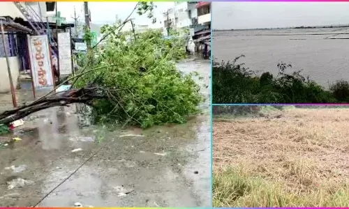 Michaung: తుఫాను ధాటికి జనజీవనం అస్తవ్యస్తం