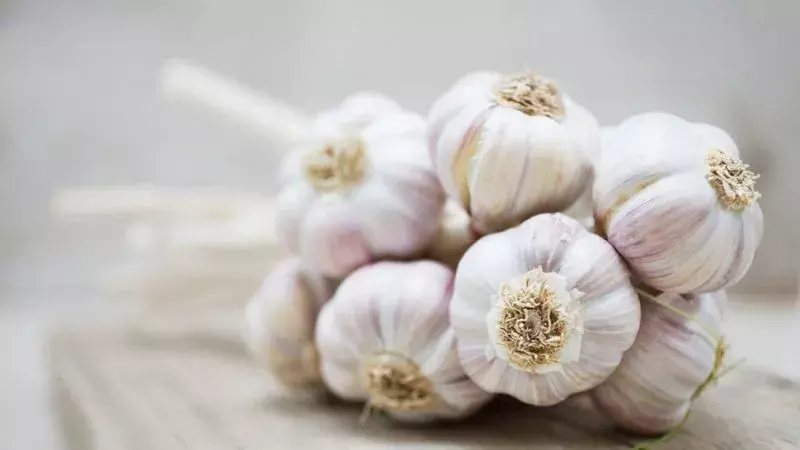 Chinese garlic: చైనా వెల్లుల్లితో జాతీయ భద్రతకు ప్రమాదకరం.. Chinese garlic: చైనా వెల్లుల్లితో జాతీయ భద్రతకు ప్రమాదకరం..