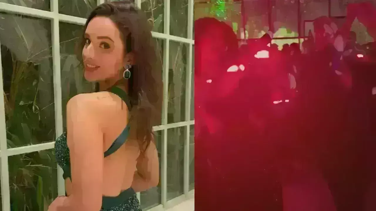 Tripti Dimri : రణబీర్ కపూర్ గాగ్రా పాటకు డ్యాన్స్