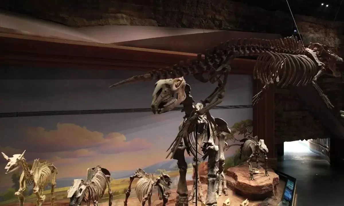 North China: ఆసియాలోనే అతిపెద్ద నేచురల్ సైన్స్‌ మ్యూజియం