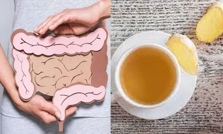 ప్రేగు శుభ్రం ఆరోగ్యానికి ఆయుధం.. ఇంట్లోనే ఈ 4 పదార్ధాలతో.. ప్రేగు శుభ్రం ఆరోగ్యానికి ఆయుధం.. ఇంట్లోనే ఈ 4 పదార్ధాలతో..