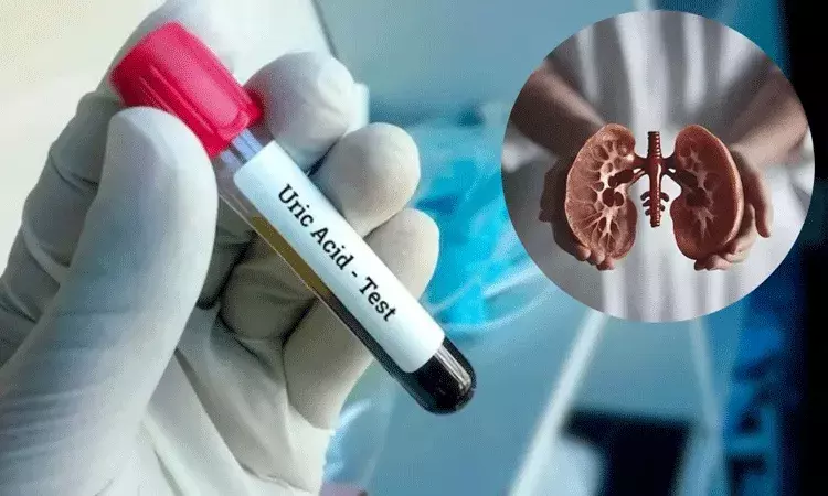శరీరంలో యూరిక్ యాసిడ్ పెరిగితే కిడ్నీ సమస్యలు .. నివారణ చర్యలు శరీరంలో యూరిక్ యాసిడ్ పెరిగితే కిడ్నీ సమస్యలు .. నివారణ చర్యలు