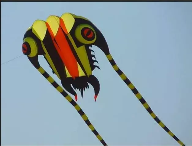 TS: నేటి నుంచే కైట్‌ ఫెస్టివల్‌