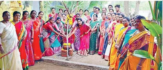 PONGAL: అంబరాన్ని అంటుతున్న సంక్రాంతి సంబరాలు