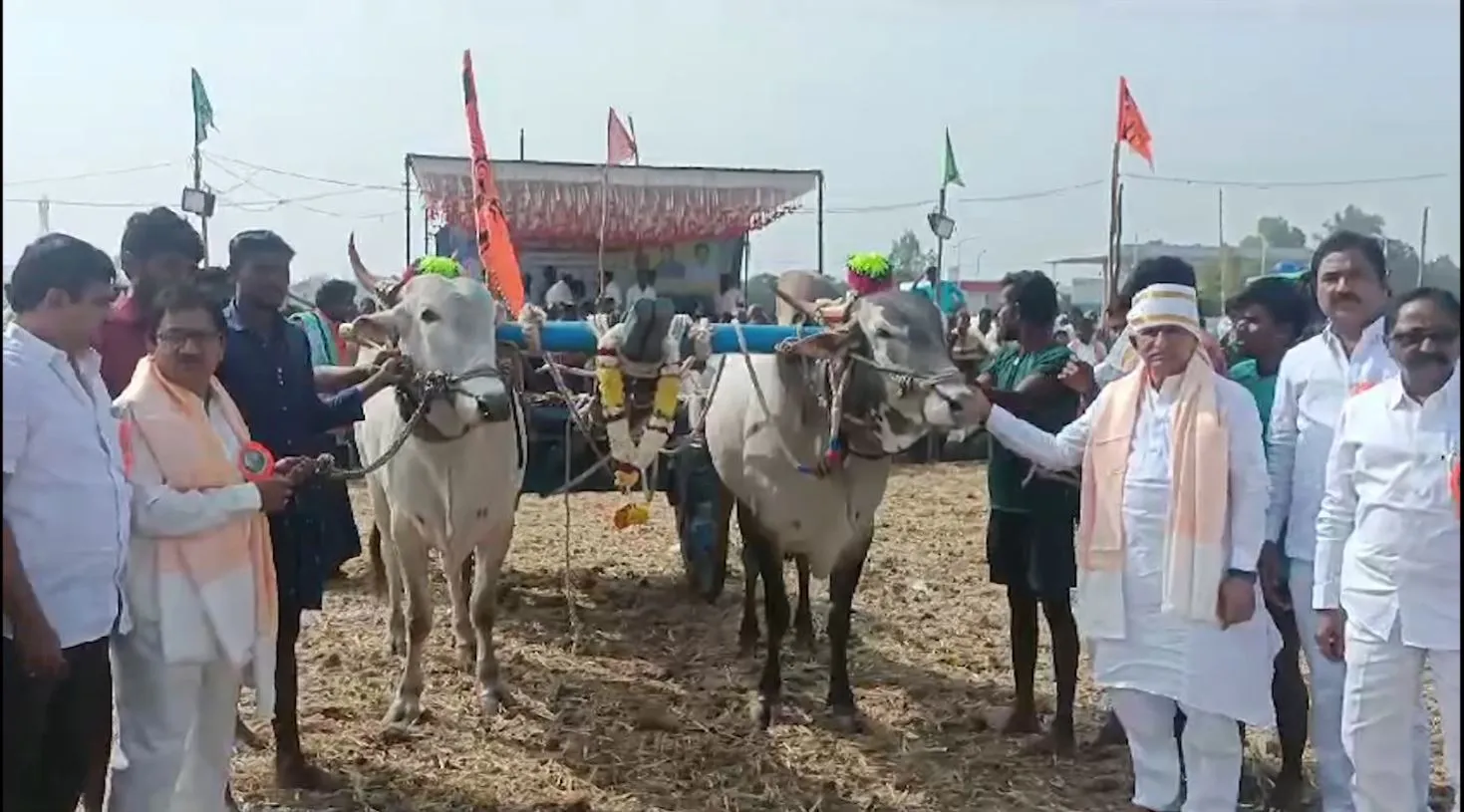 AP: ఆకట్టుకుంటున్న ఎడ్ల పందేలు AP: ఆకట్టుకుంటున్న ఎడ్ల పందేలు