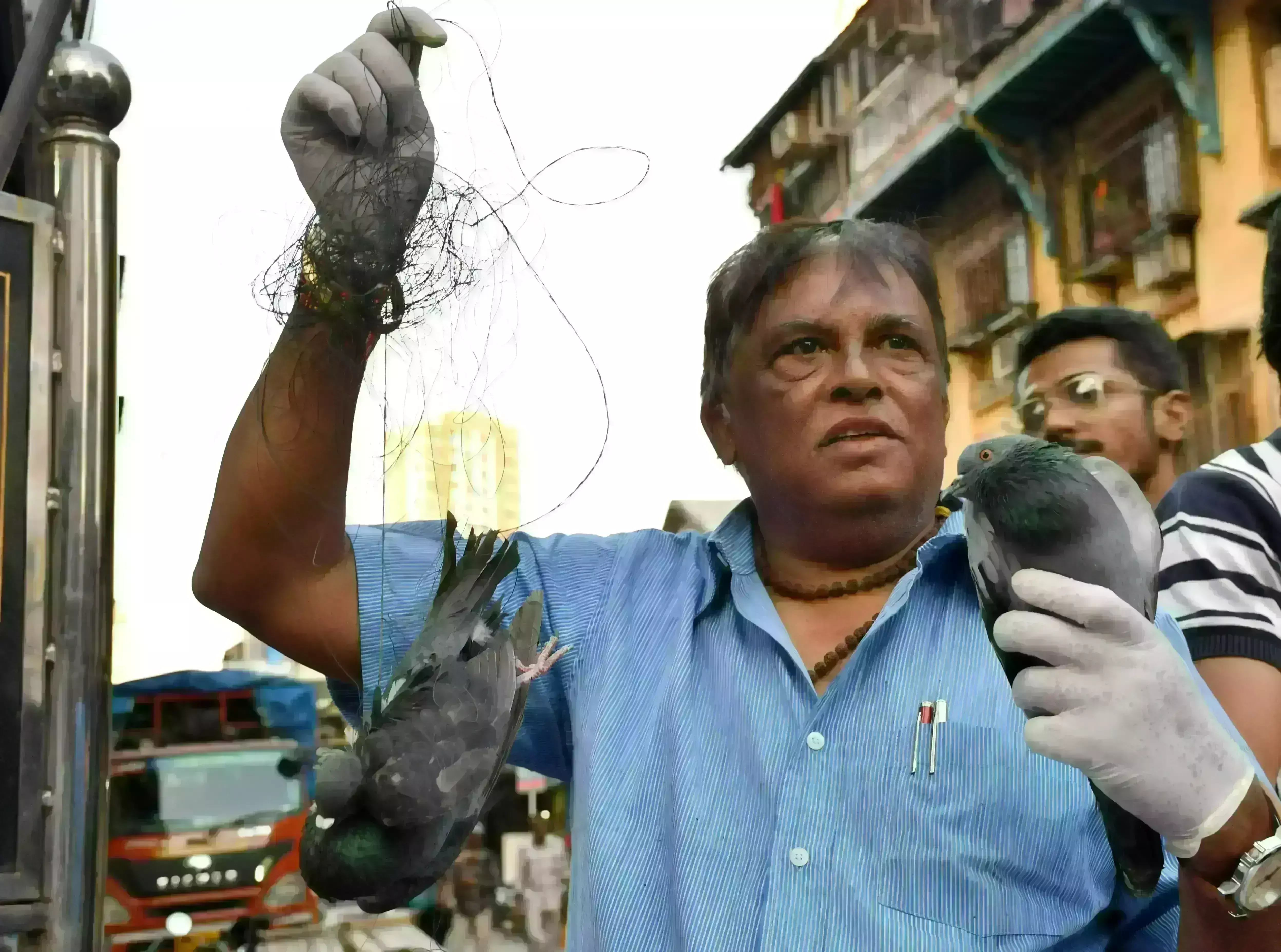 China Manja:  రెండు రోజుల్లో 1000 ప‌క్షుల‌ను బలి