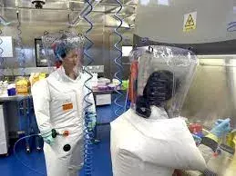 China: ప్రమాదకర వైరస్పై చైనా ప్రయోగాలు China: ప్రమాదకర వైరస్పై చైనా ప్రయోగాలు