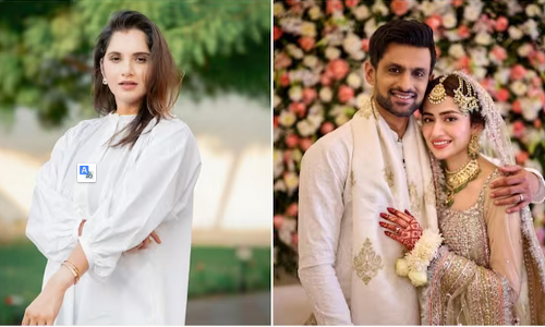 Shoaib-Sana Marriage : సానియాకు వెల్లువెత్తుతోన్న సపోర్ట్