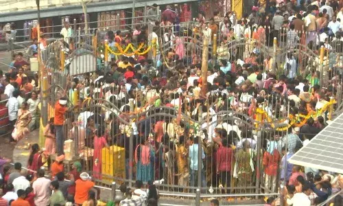 MEDARAM: మేడారంలో జోరుగా ముందస్తు మొక్కులు MEDARAM: మేడారంలో జోరుగా ముందస్తు మొక్కులు