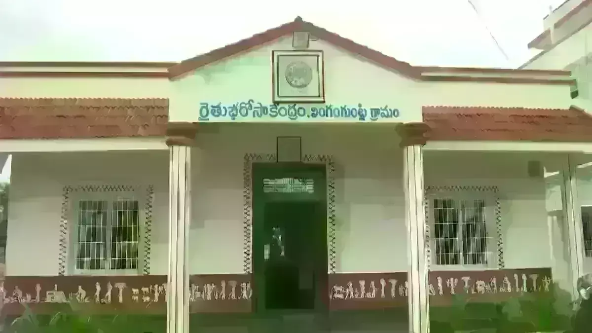 RBK Employee : ఆర్బీకే ఉద్యోగుల ప్రాణాలు తీస్తున్న ఎరువుల విక్రయాలు RBK Employee : ఆర్బీకే ఉద్యోగుల ప్రాణాలు తీస్తున్న ఎరువుల విక్రయాలు