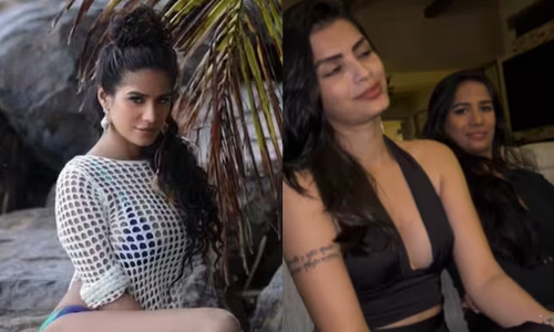 Poonam Pandey : ఆమె మరణం ఫేకా.. ఏది నిజం..?