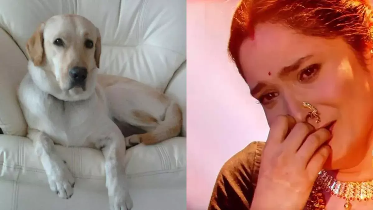 Ankita Lokhande : అంకితకు సుశాంత్ సింగ్ గిఫ్ట్ గా ఇచ్చిన కుక్క మృతి