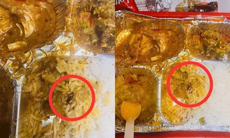 వందే భారత్ ఎక్స్ప్రెస్లోనూ అదే తీరు .. ఆర్డర్ చేసిన ఆహారంలో బొద్దింక వందే భారత్ ఎక్స్ప్రెస్లోనూ అదే తీరు .. ఆర్డర్ చేసిన ఆహారంలో బొద్దింక