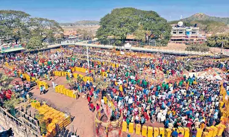 Medaram Jatara: మేడారం జాతరపై ఫోకస్.. Medaram Jatara: మేడారం జాతరపై ఫోకస్..