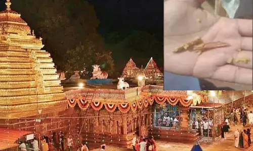 Srisailam: శ్రీశైలం పులిహోర ప్రసాదంలో మాంసం ముక్క