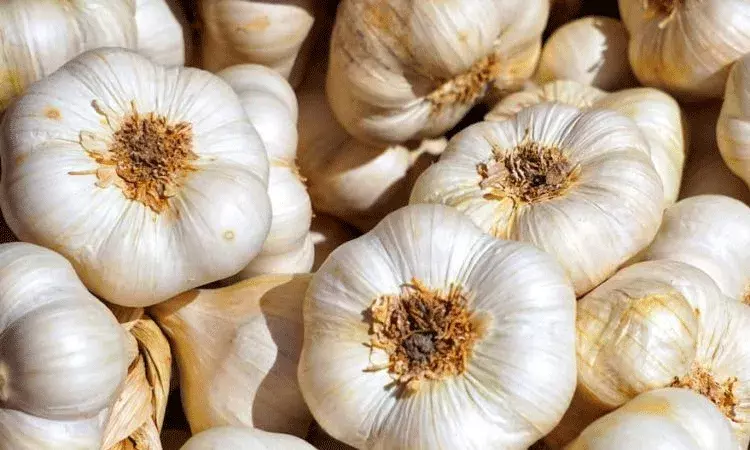 వెల్లుల్లిని జీతంగా.. ఎక్కడో తెలుసా వెల్లుల్లిని జీతంగా.. ఎక్కడో తెలుసా