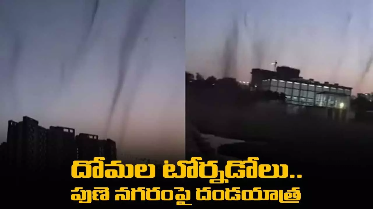 దోమల టోర్నడోలు.. పుణె నగరంపై దండయాత్ర దోమల టోర్నడోలు.. పుణె నగరంపై దండయాత్ర