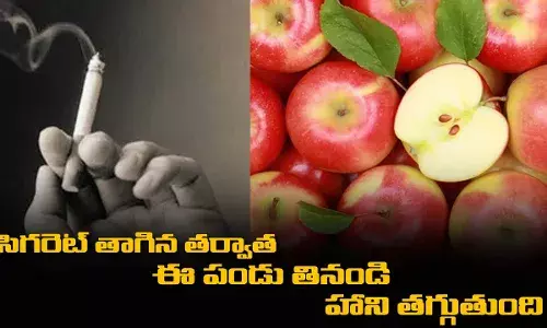 Cigarette : సిగరెట్ తాగిన తర్వాత ఈ పండు తినండి.. హాని తగ్గుతుంది Cigarette : సిగరెట్ తాగిన తర్వాత ఈ పండు తినండి.. హాని తగ్గుతుంది