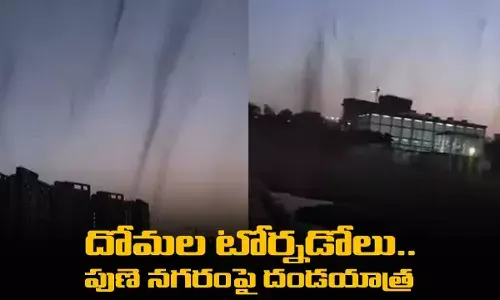 దోమల టోర్నడోలు.. పుణె నగరంపై దండయాత్ర దోమల టోర్నడోలు.. పుణె నగరంపై దండయాత్ర