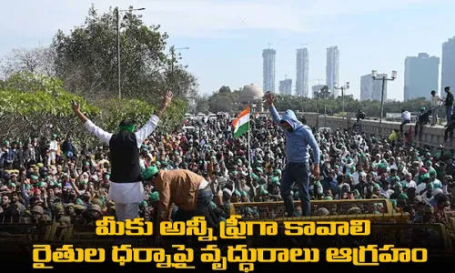 మీకు అన్నీ ఫ్రీగా కావాలి : రైతుల ధర్నాపై వృద్ధురాలు ఆగ్రహం మీకు అన్నీ ఫ్రీగా కావాలి : రైతుల ధర్నాపై వృద్ధురాలు ఆగ్రహం