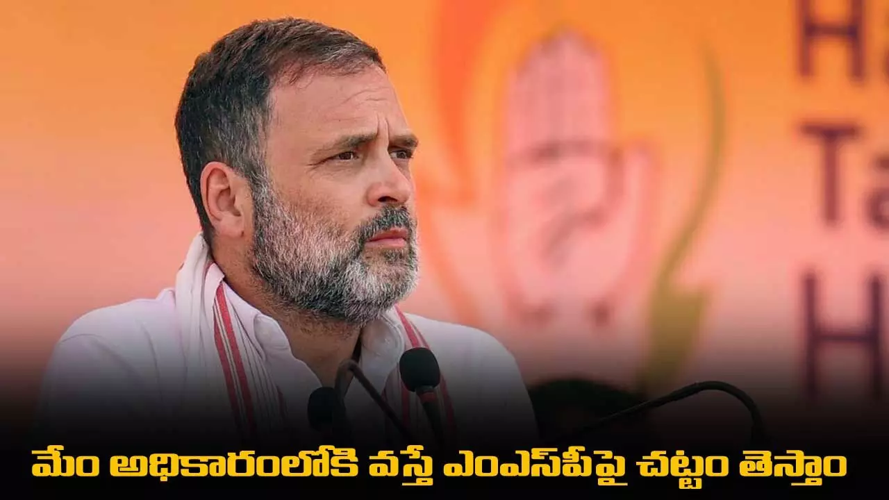 మేం అధికారంలోకి వస్తే ఎంఎస్పీపై చట్టం తెస్తాం మేం అధికారంలోకి వస్తే ఎంఎస్పీపై చట్టం తెస్తాం