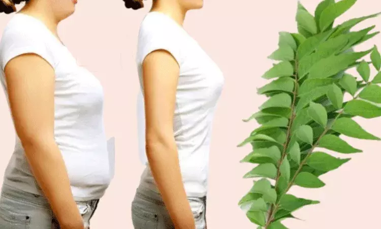 రోజూ కాసిన్ని కరివేపాకు నీళ్లు తాగితే.. బరువు తగ్గడం చాలా ఈజీ..