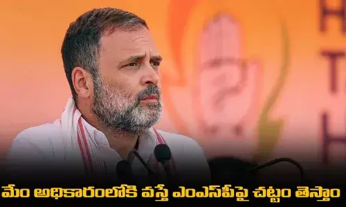 మేం అధికారంలోకి వస్తే ఎంఎస్పీపై చట్టం తెస్తాం మేం అధికారంలోకి వస్తే ఎంఎస్పీపై చట్టం తెస్తాం