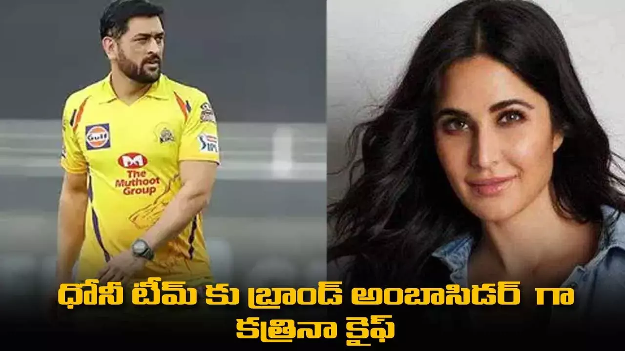 MS Dhoni : ధోనీ టీమ్ కు బ్రాండ్ అంబాసిడర్  గా  కత్రినా కైఫ్