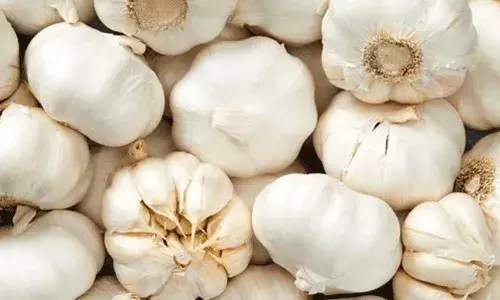 ఆకాశాన్నంటుతున్న వెల్లుల్లి ధర.. కేజీ రూ. 550