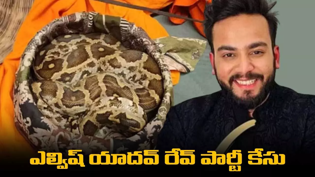 Elvish Yadav Drug Case : ఎల్విష్ యాదవ్ రేవ్ పార్టీ కేసు: సాంపిల్స్ లో కోబ్రా విషం గుర్తింపు Elvish Yadav Drug Case : ఎల్విష్ యాదవ్ రేవ్ పార్టీ కేసు: సాంపిల్స్ లో కోబ్రా విషం గుర్తింపు