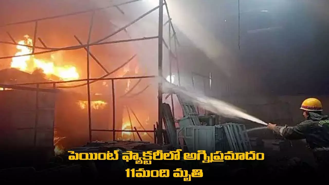 Delhi Paint Factory : పెయింట్‌ ఫ్యాక్టరీలో అగ్నిప్రమాదం, 11మంది మృతి