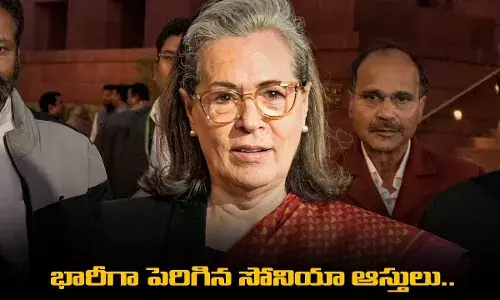 Sonia Gandhi : భారీగా పెరిగిన సోనియా ఆస్తులు.. ఎంతంటే..