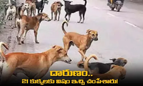 Mahbubnagar : దారుణం.. 21 కుక్కలకు విషం ఇచ్చి చంపేశారు! Mahbubnagar : దారుణం.. 21 కుక్కలకు విషం ఇచ్చి చంపేశారు!