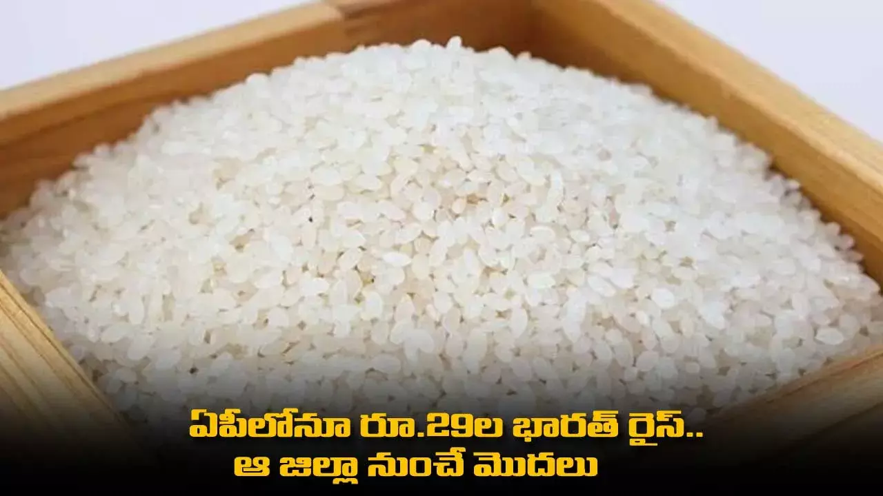 Bharat Rice : ఏపీలోనూ రూ.29ల భారత్ రైస్.. ఆ జిల్లా నుంచే మొదలు