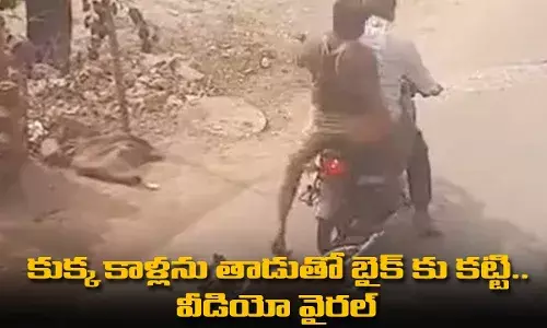 Viral Video : కుక్క కాళ్లను తాడుతో బైక్ కు కట్టి.. వీడియో వైరల్