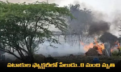 Firecracker Factory : పటాకుల ఫ్యాక్టరీలో పేలుడు..8 మంది మృతి