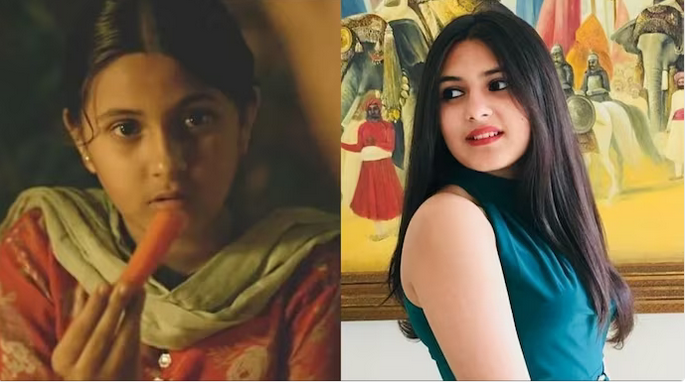 Suhani Bhatnagar : అరుదైన వ్యాధితో 19ఏళ్ల వయసులో దంగల్ నటి మృతి