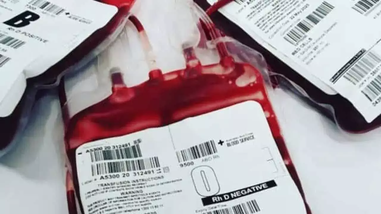 Blood Bank : మీరేం మనుషులురా..! ప్లాస్మాతో వ్యాపారం.. బ్లడ్ బ్యాంకుల లైసెన్స్ సీజ్ Blood Bank : మీరేం మనుషులురా..! ప్లాస్మాతో వ్యాపారం.. బ్లడ్ బ్యాంకుల లైసెన్స్ సీజ్
