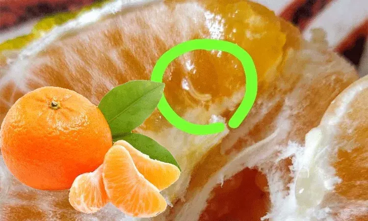 ఆర్డర్ చేసిన ఆరెంజ్ లో పురుగు.. స్పందించిన కంపెనీ Zepto