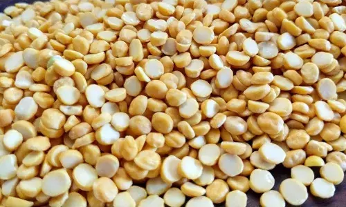 Ap News:  శనగపప్పు అక్రమాల గుట్టు రట్టు