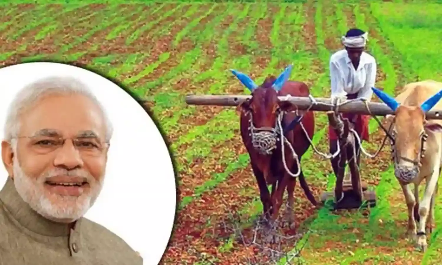 Farmers : చెరుకు గిట్టుబాటు ధర పెంపు.. రైతు సంక్షేమం కీలకమన్న ప్రధాని Farmers : చెరుకు గిట్టుబాటు ధర పెంపు.. రైతు సంక్షేమం కీలకమన్న ప్రధాని