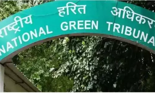 NGT: ఏపీలో ఇసుక తవ్వకాలపై ఎన్జీటీ విస్మయం NGT: ఏపీలో ఇసుక తవ్వకాలపై ఎన్జీటీ విస్మయం