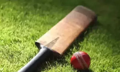 విషాదం: 24 ఏళ్ల టెక్కీ.. క్రికెట్ ఆడుతూ కుప్పకూలి..