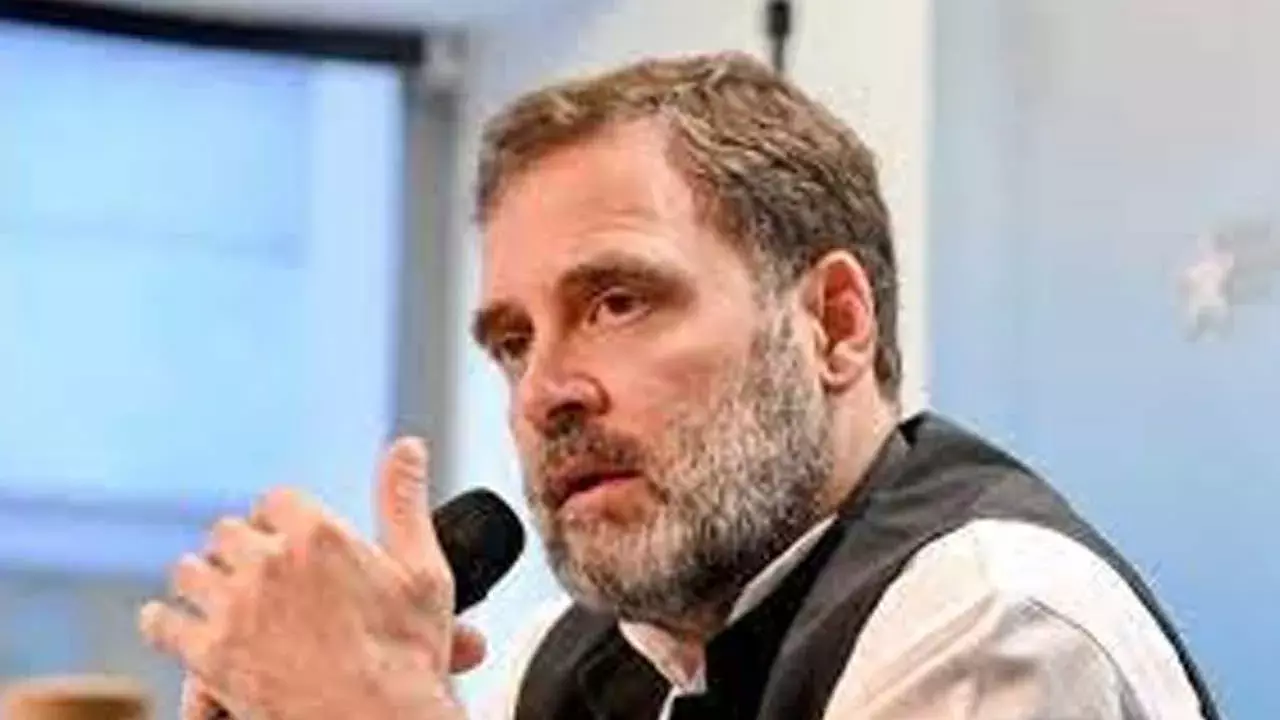 Rahul Gandhi : సమస్యలకు కాదు.. గ్రాండ్ వెడ్డింగ్ లకే మీడియా ప్రాధాన్యత : రాహుల్ గాంధీ