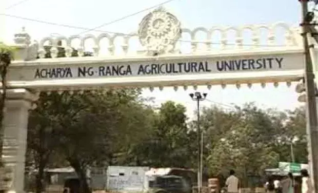 ANGRAU Construction Incompleted: ఎన్నికల వేళ ప్రజలను మభ్యపెడుతున్న సీఎం జగన్ ANGRAU Construction Incompleted: ఎన్నికల వేళ ప్రజలను మభ్యపెడుతున్న సీఎం జగన్