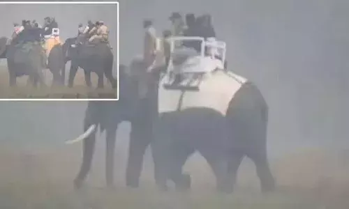 PM Modi : ఏనుగు సవారీ చేసిన ప్రధాని మోదీ PM Modi : ఏనుగు సవారీ చేసిన ప్రధాని మోదీ