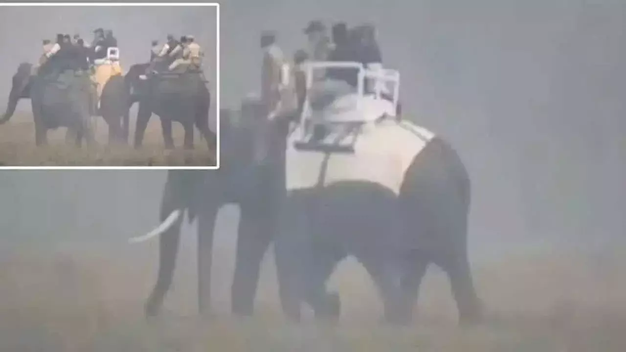 PM Modi : కజిరంగ పార్క్లో మోడీ.. ఏనుగెక్కిన ప్రధాని PM Modi : కజిరంగ పార్క్లో మోడీ.. ఏనుగెక్కిన ప్రధాని